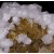 Calcite on Fluorite (fluorescent) Moscona Mine M04485